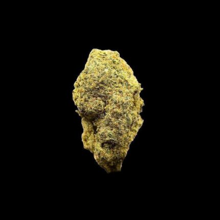 Lava Gushers Strain